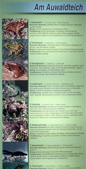 ../Images/009 Am Auwaldteich 11022004.jpg